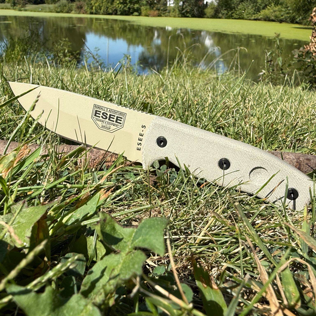 physical and chemical