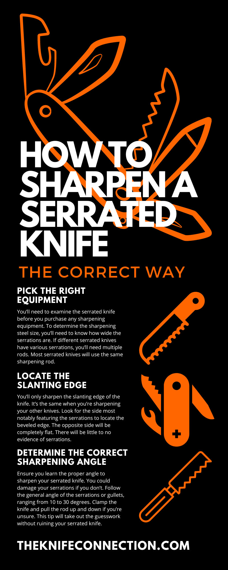 How To Sharpen a Serrated Knife the Correct Way